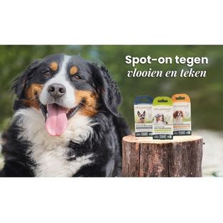 Ultra Premium Direct Spot-on tegen vlooien en teken voor hond