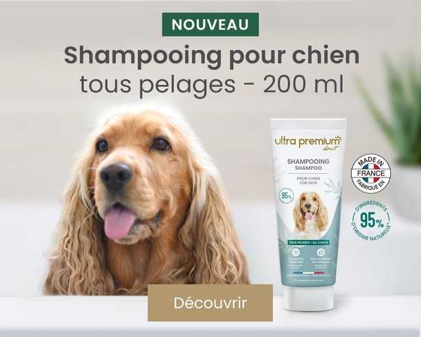 Découvrez notre shampooing pour chien tous pelages !