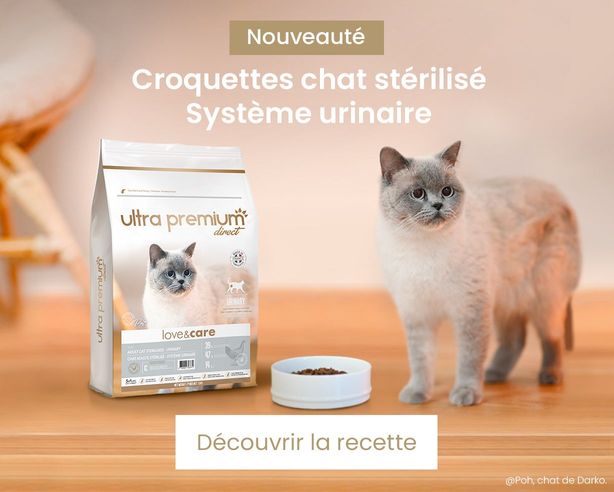 nouveauté croquettes urinary