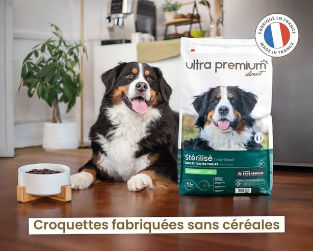 croquettes fabriquées sans céréales chien