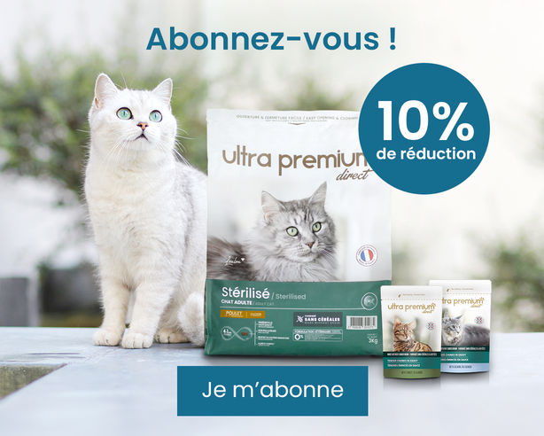 abonnement 10% de réduction chat