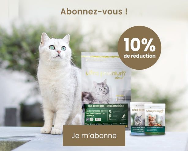 abonnement 10% de réduction chat
