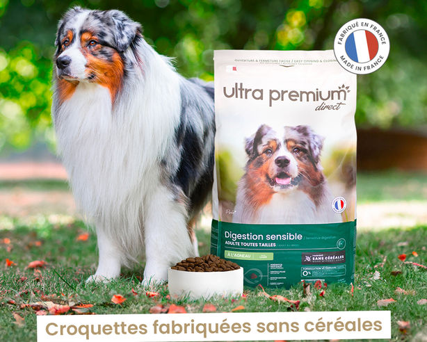 croquettes fabriquées sans céréales chien