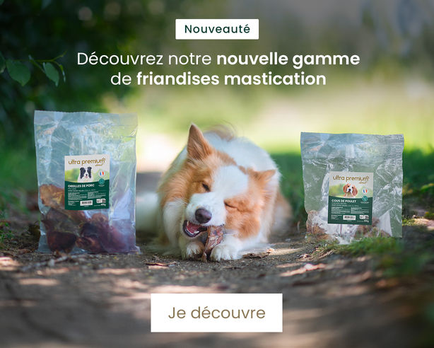 Nos nouvelles friandises mastication d'origine naturelle