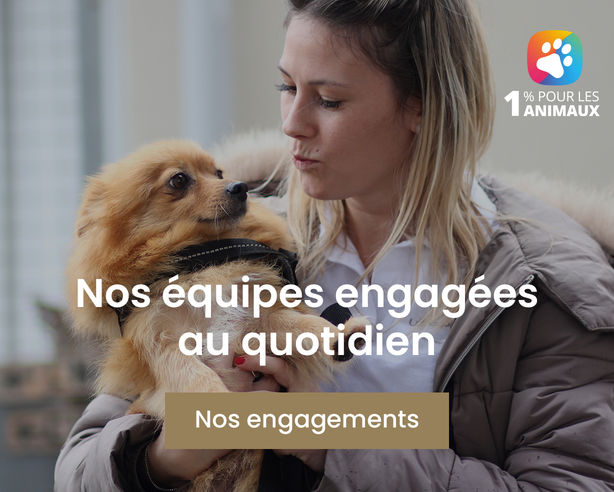 Engagement 1% pour les animaux