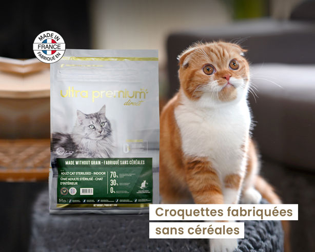 Offre abo Croquettes Chat