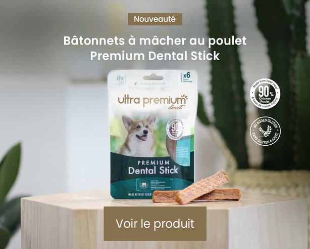 nouveauté premium dental stick chien