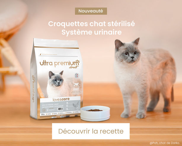 Croquettes chat Urinary