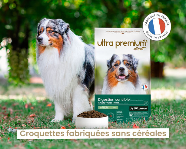 croquettes fabriquées sans céréales chien