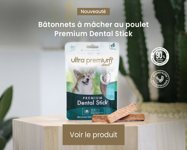 nouveauté premium dental stick chien