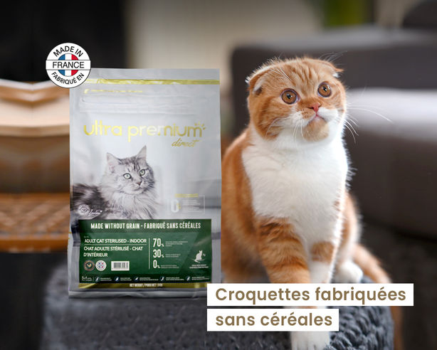 Offre croquettes Chat