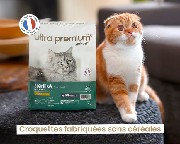 croquettes fabriquées sans céréales chat