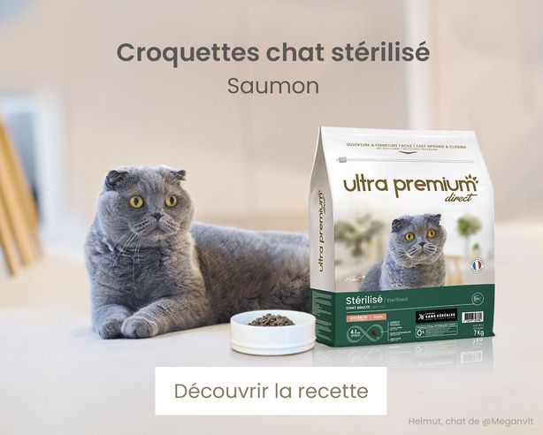 Croquettes chat Urinary