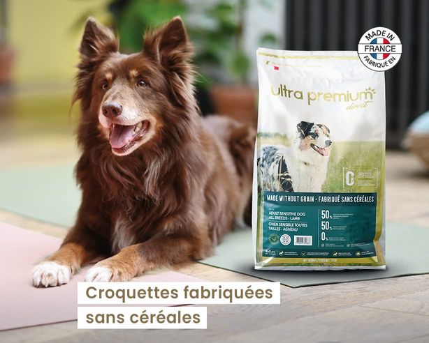 croquettes fabriquées sans céréales chien