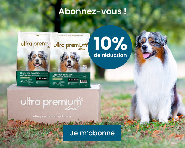 abonnement 10% de réduction chien