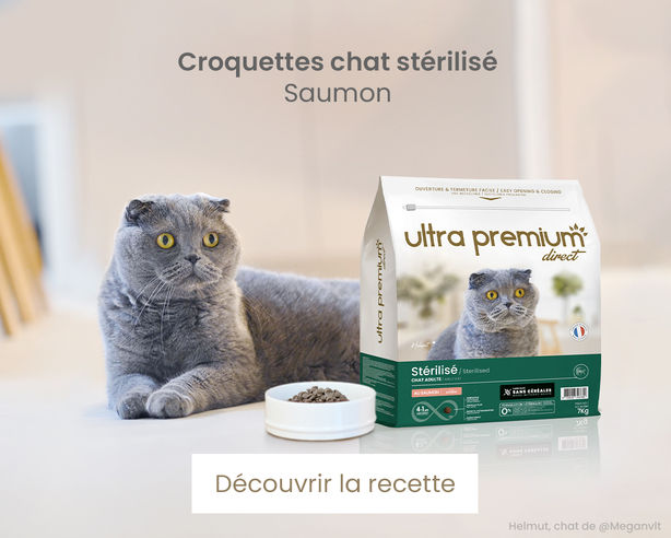 Croquettes chat Urinary