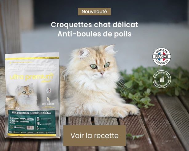 nouveauté croquettes anti-boules de poils chat