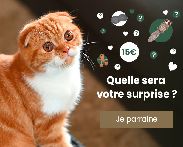 offre parrainage chat