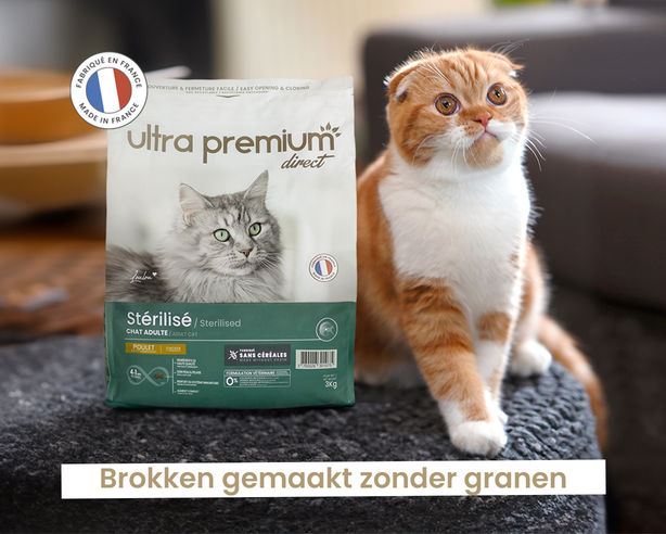 brokken gemaakt zonder granen voor kat