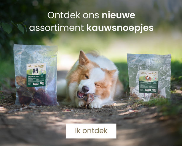Onze nieuwe snacks van natuurlijke oorsprong