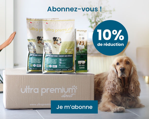 abonnement 10% korting% hond