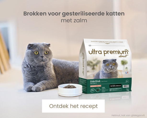 Kattenbrokken Zalm - Graanvrij - Voor gesteriliseerde katten