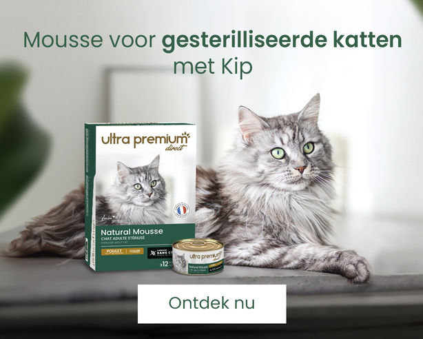 aanbieding voor aandragen