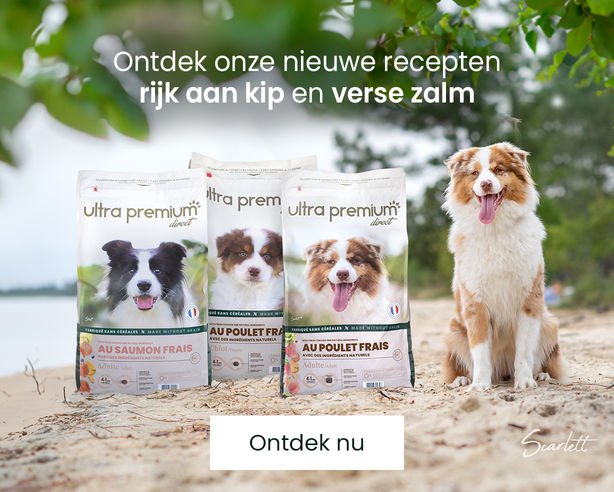 Onze brokken met verse ingrediënten