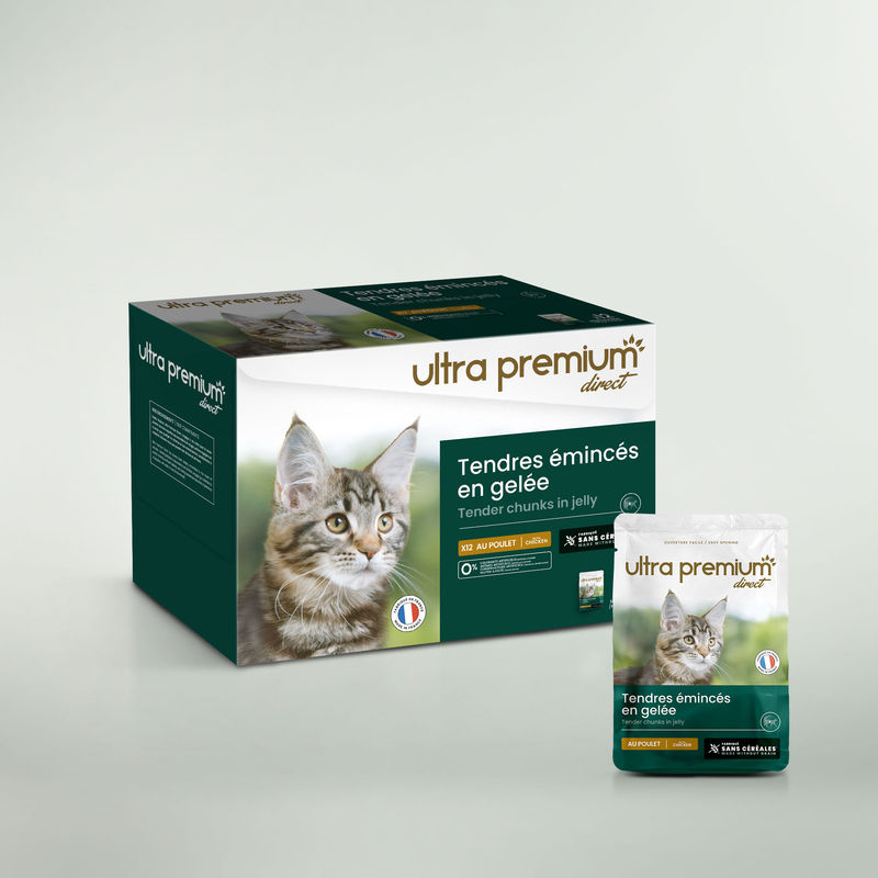 Gesneden graanvrije gelei voor kat met kip op een lichtgroene achtergrond