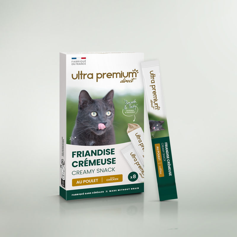 Boîte de friandises crémeuses pour chat liquide pour chat, sur fond vert