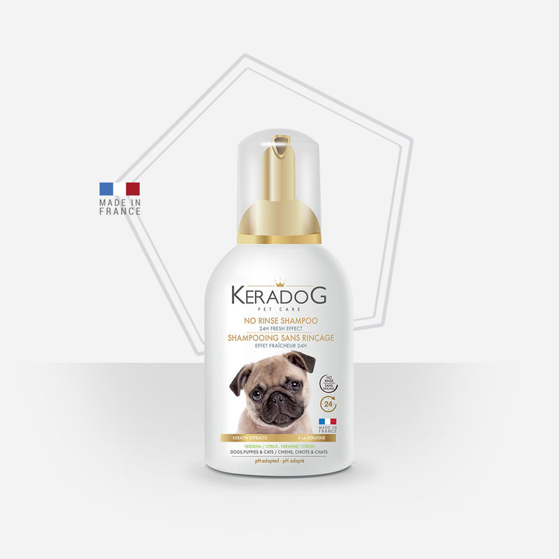 Droogshampoo zonder spoelen - 24-uurs frisheidseffect voor hond