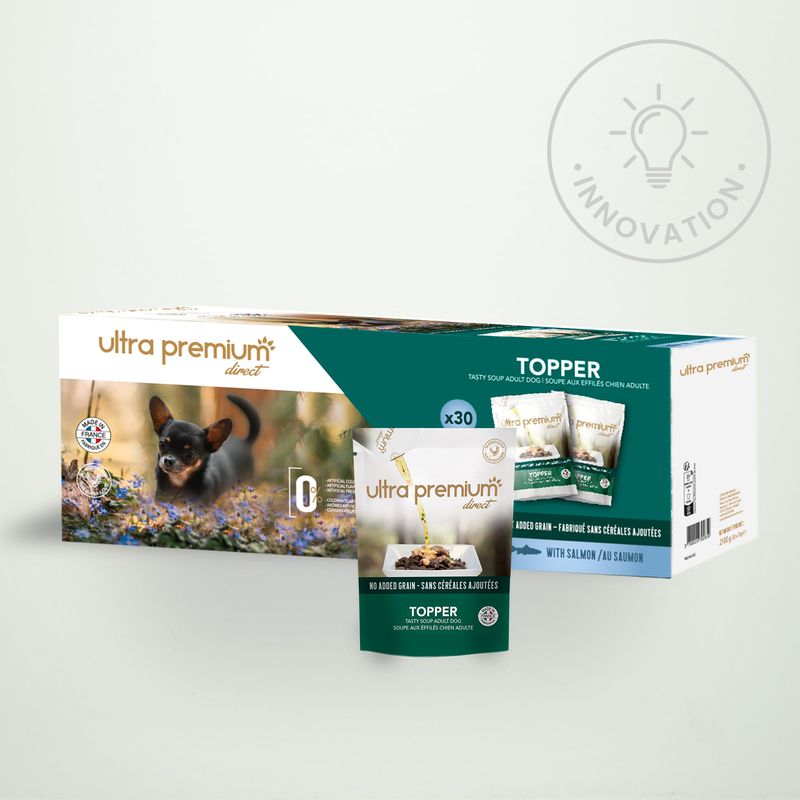 Soupe aux effilés pour chien sans céréales au saumon sur fond vert clair