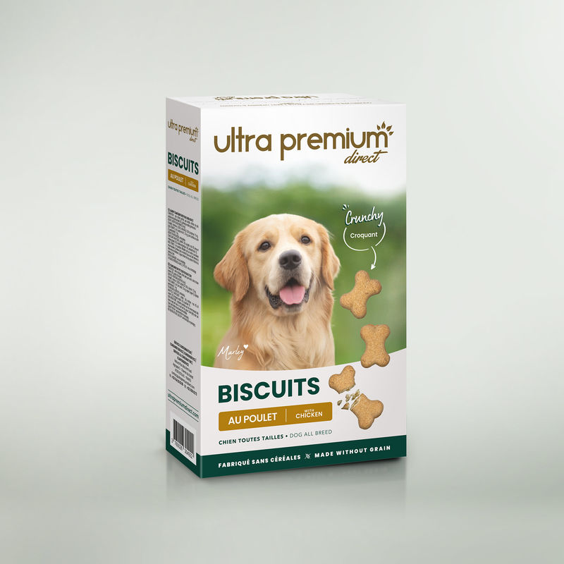 Boite de 400g de biscuits pour chien de 4cm en forme d'os sur fond vert
