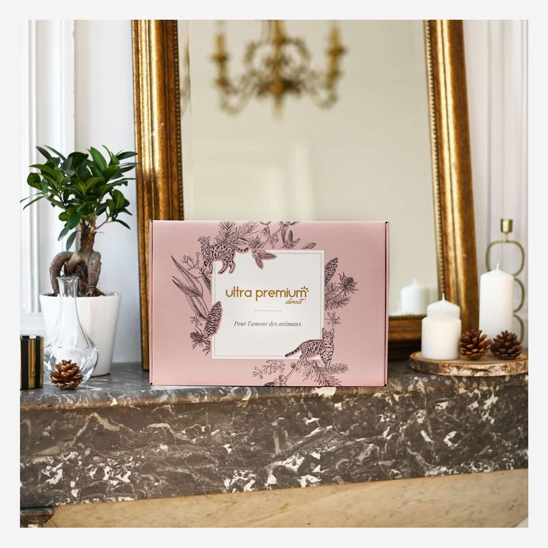 Box Cadeau pour chat