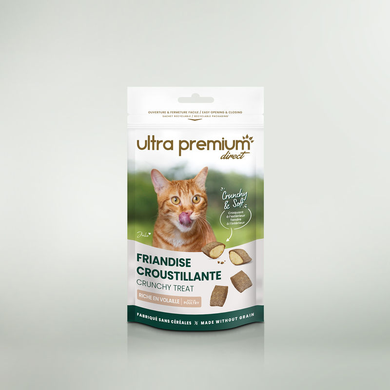 Sachet de friandises croustillantes sur fond vert