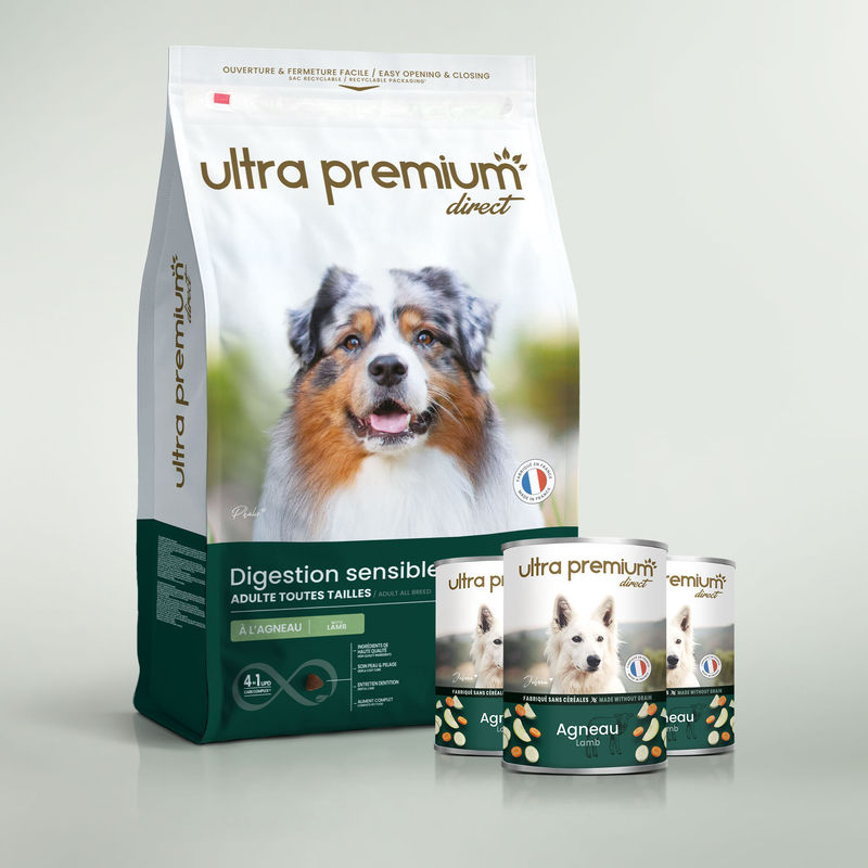 Dubbel voeding bestaande uit een zak graanvrije brokken van 12 kg voor hond met een gevoelige spijsvertering en 24 blikjes met lam, op een lichtgroene achtergrond