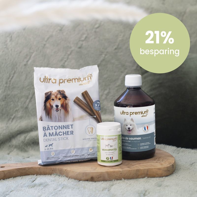 Wellnesspakket voor hond binnenshuis