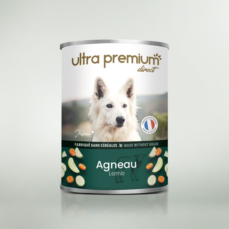 Boîte de pâtée pour chien sans céréales à l'agneau sur fond vert clair