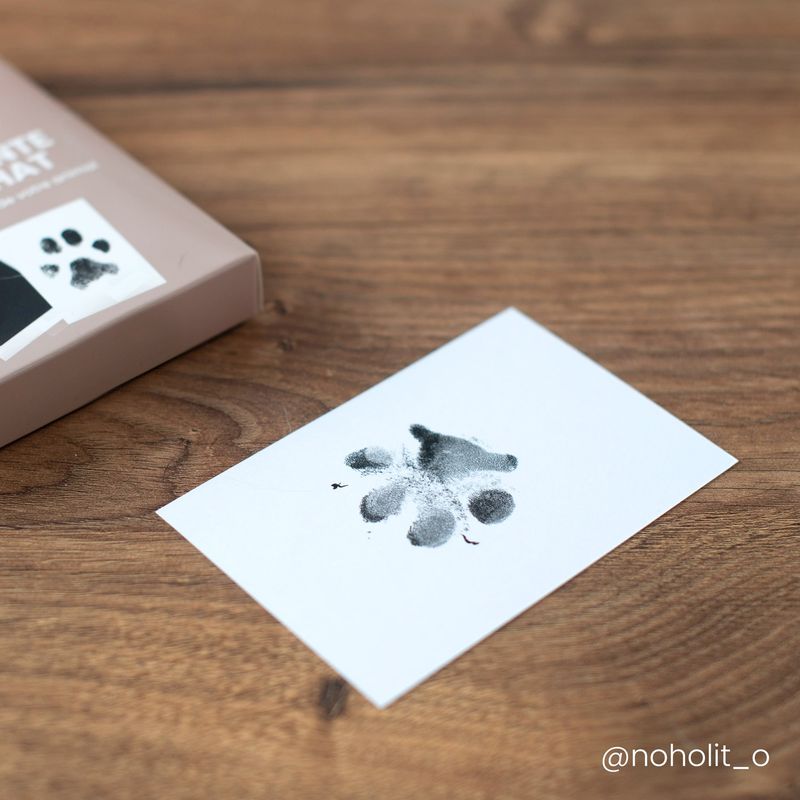 AMARI ® Kit d'impression de pattes d'animaux avec 2 tampons encreurs et 4  cartes d'impression - tampon encreur - empreinte chien - empreinte chat - kit  empreinte chat : : Animalerie