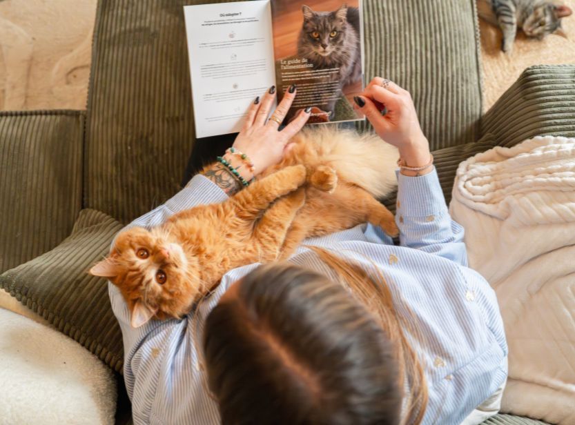 chat roux sur les genoux de sa maîtresse avec le guide chaton