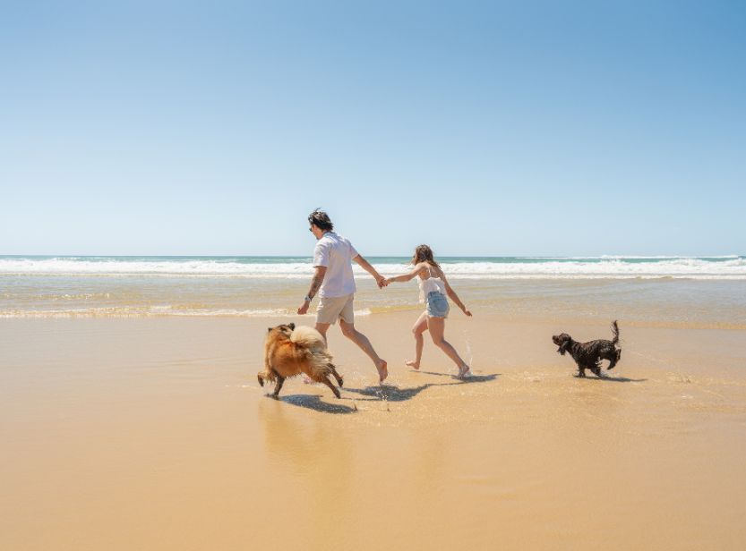 couple courant sur la plage avec ses deux chiens