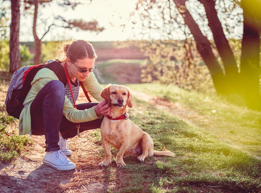 Maîtresse avec son chien en extérieur