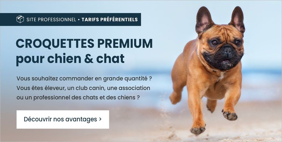 Bannière Ultra Premium Professionnel